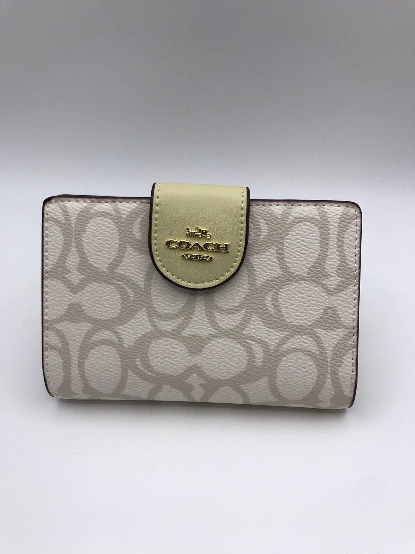 Medium Corner Zip Wallet In Beige