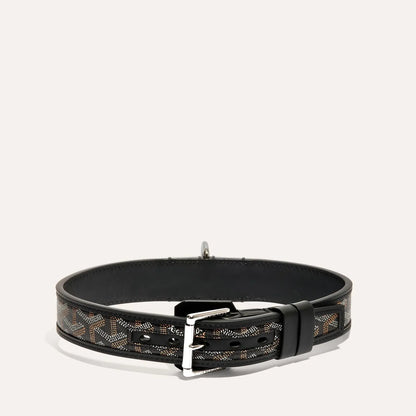Franklin Collar With Box