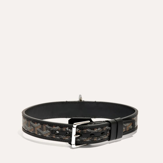 Franklin Collar With Box