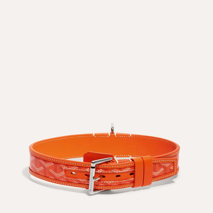Franklin Collar With Box