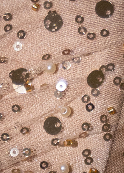 Love Shy Sheer Glitter Maxi Dress - Gold