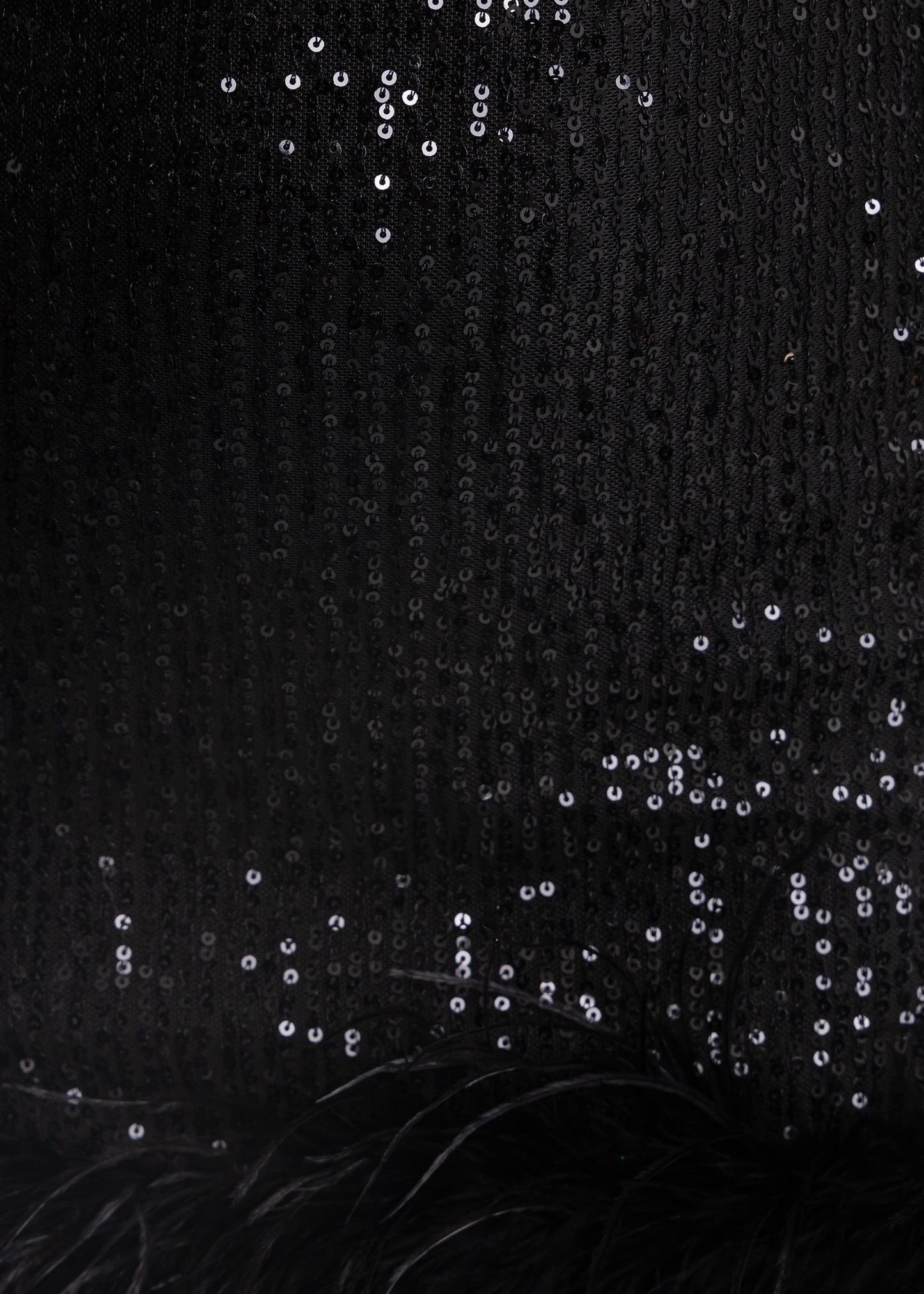 Untamed Aura Sequin Feather Mini Dress - Black