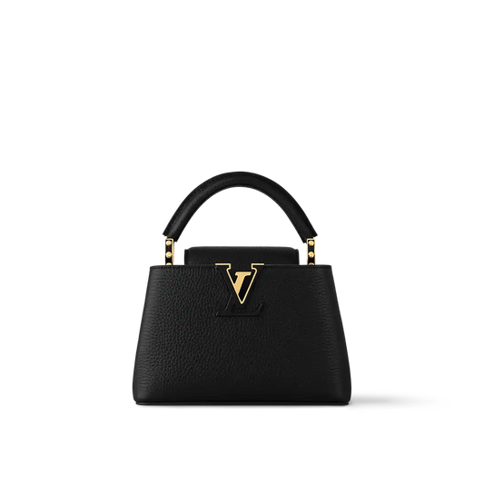 LV Capucines Mini With Box